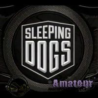 Обзор игры - Sleeping Dogs