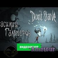 Don't Starve - видео обзор игры
