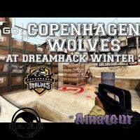 Cph Wolves на Dreamhack Winter - фрагмуви