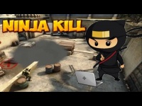 CS:GO - ninja kill