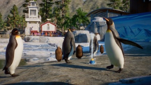 В Planet Zoo появятся аквапарки с пингвинами: анонсирован набор Aquatic Pack
