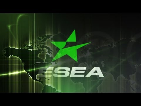 Кризис проекта ESEA -30-12-2013 - WES Cyber News