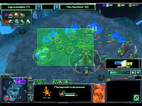 Sjow vs. Abver 13.01.2011