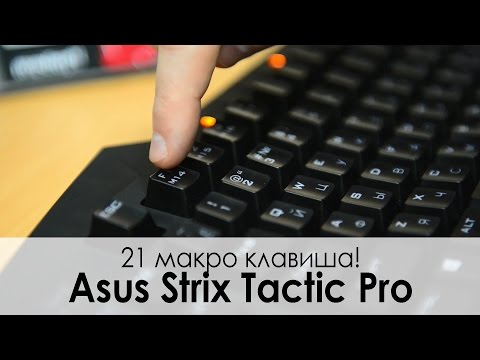 Обзор игровой клавиатуры Asus STRIX Tactic Pro — Только Cherry!