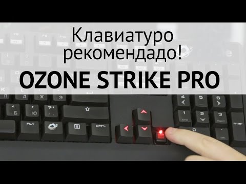 Обзор игровой клавиатуры OZONE Strike Pro! Компрэндэ?