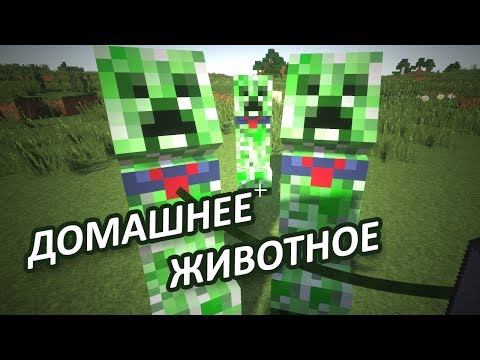 КРИПЕР ДОМАШНЕЕ ЖИВОТНОЕ - Minecraft (Обзор Мода)