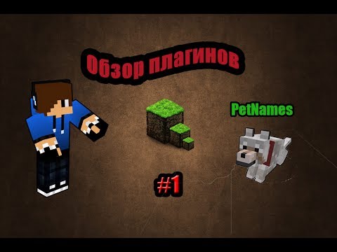 Обзор плагинов на Minecraft 1.5.2 #1-PetNames