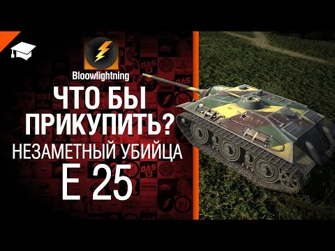 Что бы прикупить? №4 - Незаметный убийца E 25 - от BloowLightning [World of Tanks]