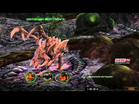 Кампания SC2 HOTS - Часть 2