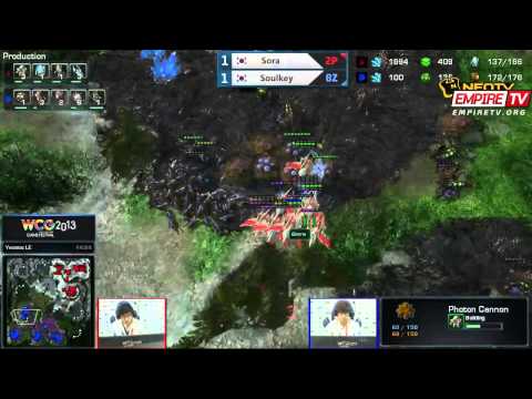 WCG 2013 FINAL