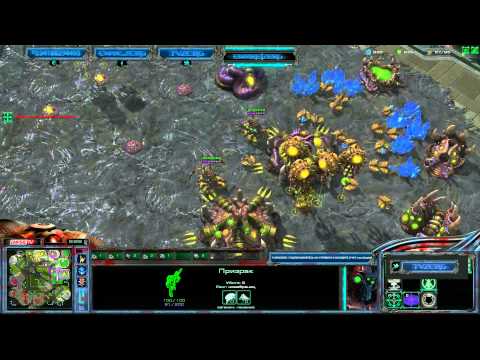 ZERG LADDER - Эпичные ядерки от ZERG'a (18+)