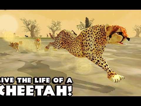 Cheetah Simulator - Симулятор гепарда на Android(Review)