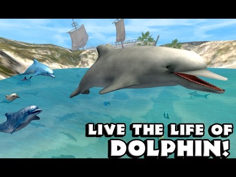 Dolphin Simulator - Симулятор дельфина  на Android(Обзор/Review)