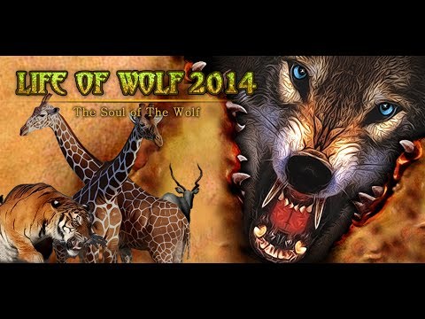 Life Of Wolf 2014 - симулятор волка на Android ( Review)