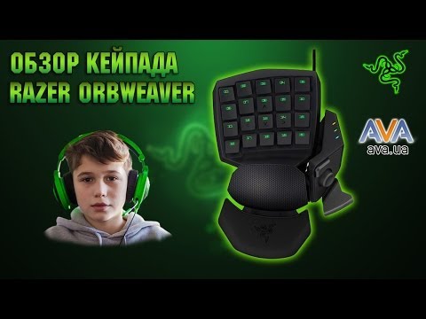 Обзор кейпада Razer Orbweaver от Fipro и AVA.ua  Фипро