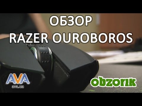 Обзор мышки Razer Ouroboros. Obzorik. AVA.ua