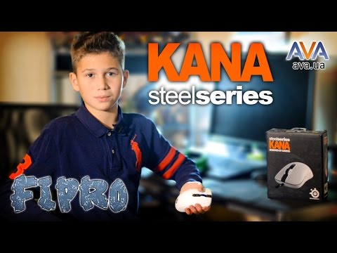 Обзор SteelSeries Kana от Fipro и AVA.ua