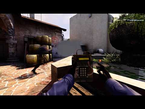 CS:GO - NiP f0rest vs MayaM (SLTV StarSeries IX)