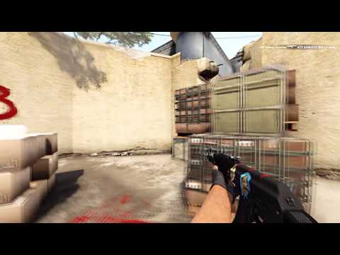 CS:GO - NiP friberg vs Wolf (ESL One Cologne 2014)