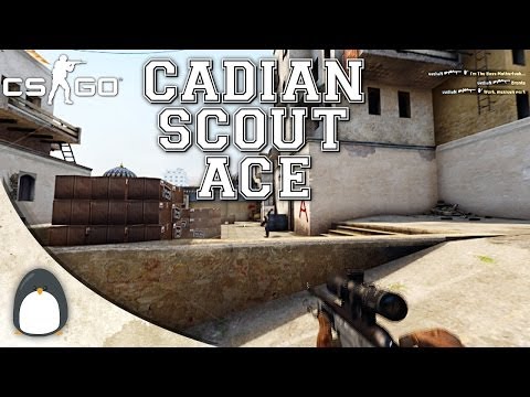 CS:GO - cadiaN Scout ACE