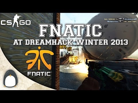 CS:GO - fnatic at DreamHack Winter 2013 (Highlights)