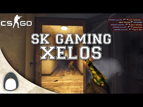 CS:GO - SK Xelos SICK Usp Ace