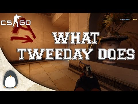 CS:GO - What tweeday does.
