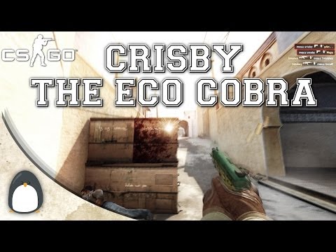 CS:GO - crisby the Eco Cobra