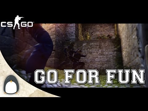 CS:GO - GO for Fun (NVIDIA Video Contest)