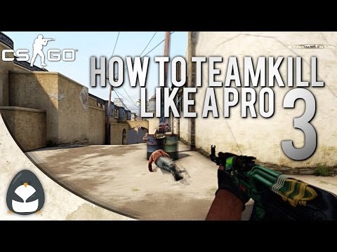 CS:GO - How to teamkill like a Pro 3 (DreamHack Summer 2014)