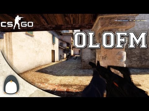 CS:GO - olofm