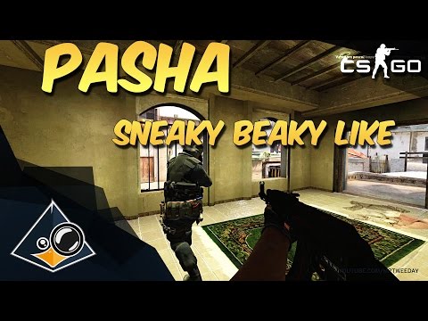CS:GO - pasha "Sneaky Beaky Like"
