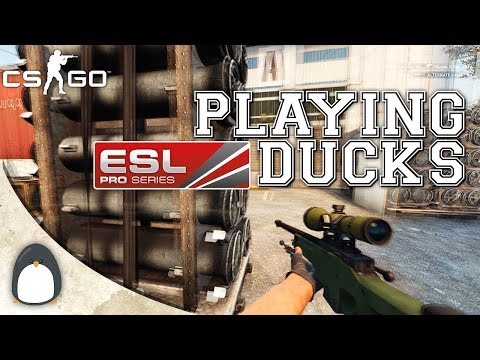 CS:GO - Playing Ducks at EPS Finals (Highlights)