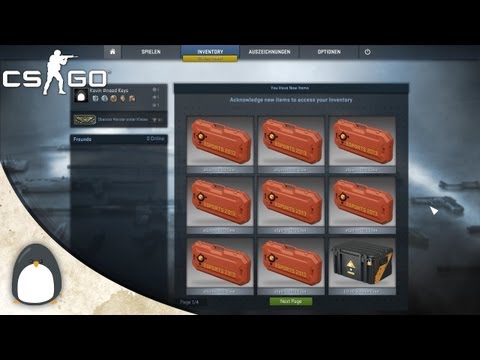 CS:GO - The big Case Opening 2!