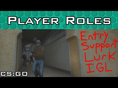 CS:GO Player Roles