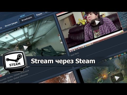 Stream через Steam - 03-12-2014 - WES Cyber News