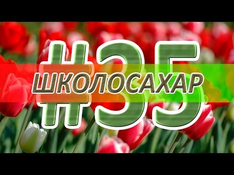 ШКОЛОСАХАР #35