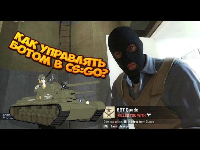 Как управлять ботом в CS:GO?